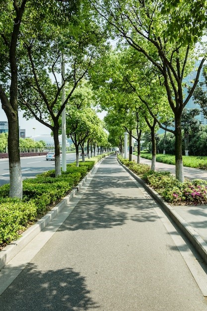 Free photo bike path with trees